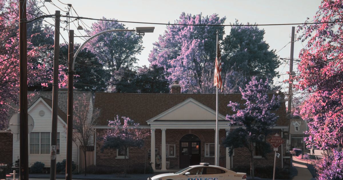 Surveillance cameras in a city
